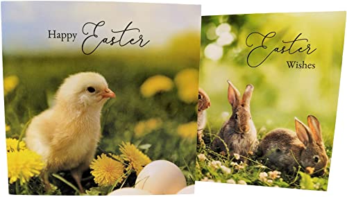 8x Happy Easter Cards with Envelopes (Photo Bunny & Chick)