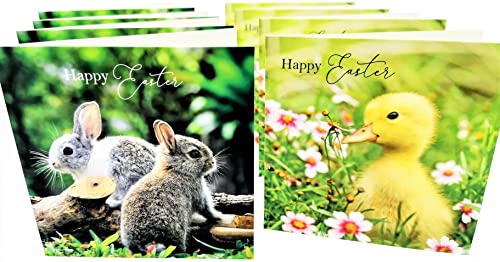 8 Happy Easter Cards with Envelopes (Bunny and Chick)